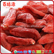 Chine blushwood goji berry aucune calorie goji ningxia goji berry